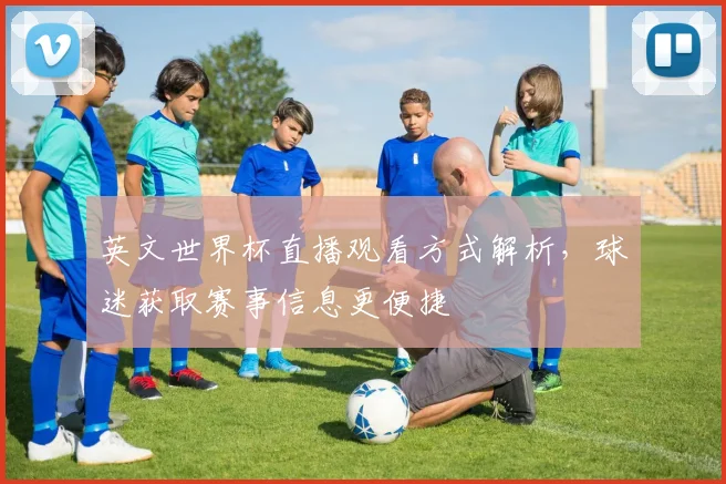 英文世界杯直播观看方式解析,球迷获取赛事信息更便捷