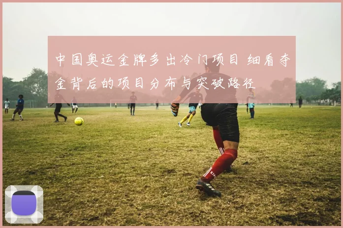 中国奥运金牌多出冷门项目 细看夺金背后的项目分布与突破路径
