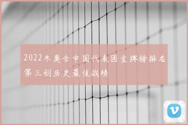 2022冬奥会中国代表团金牌榜排名第三创历史最佳战绩