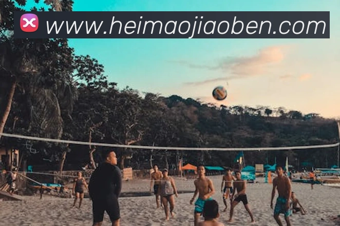 ayx官网登录APP 封面图